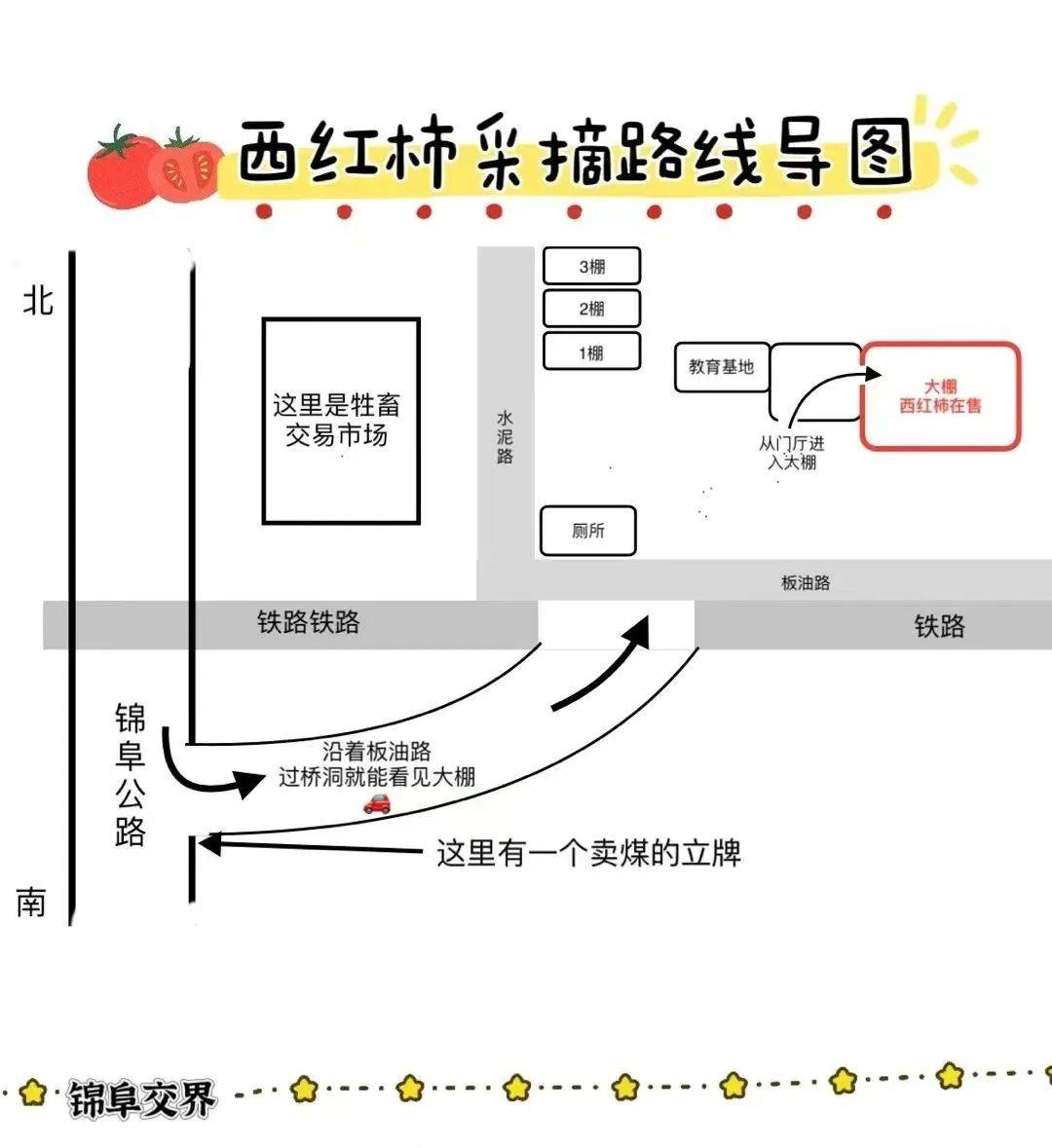 【乡村振兴】河西镇志智双扶教育基地水果西红柿采摘上市开云体育网址(图3)