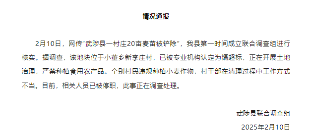 河南武陟县一村庄20亩麦苗被铲除？官方：相关人员已被停职