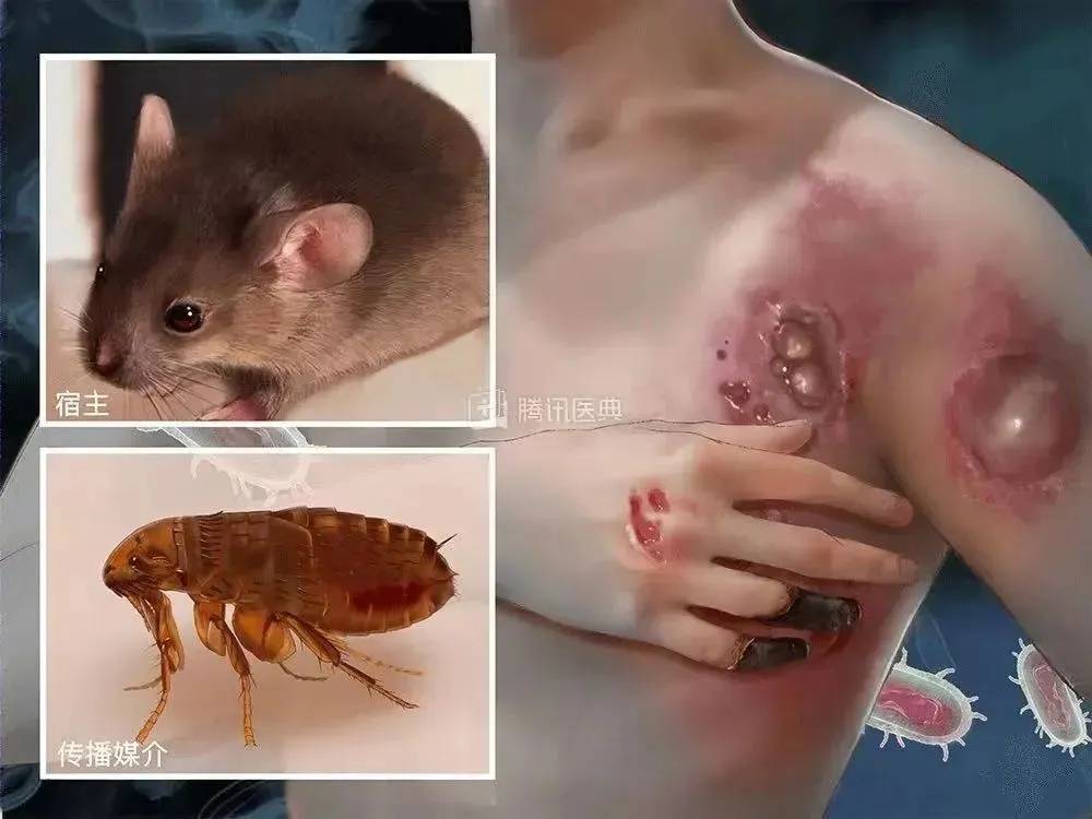 千万别碰!严重致死