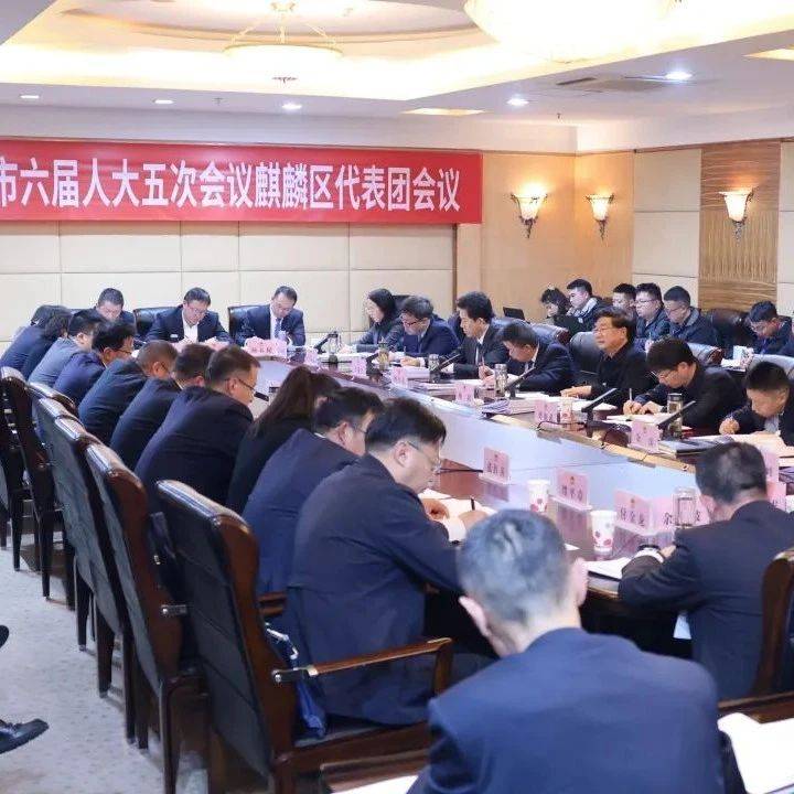 杨斌参加麒麟区代表团审议时强调:当好排头兵 为全市发展大局作出应有贡献_曲靖_建设_作用