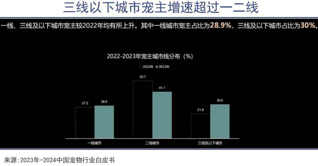 猫猫狗狗，县城受宠