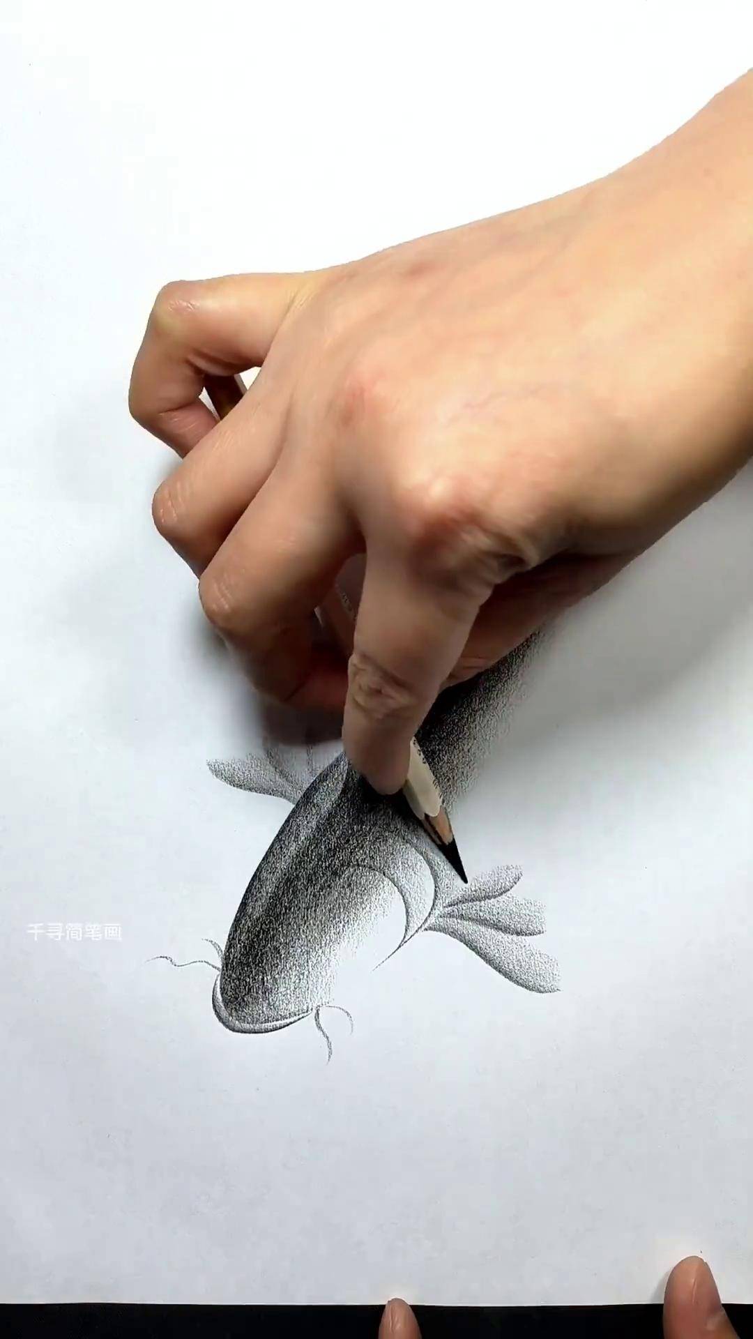 简单几笔画锦鲤炭笔画 一学就会系列