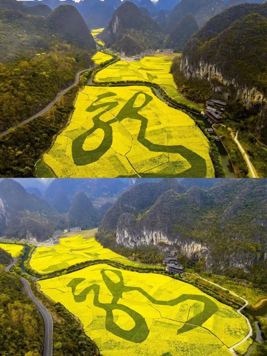 去世界最大樱花园美哭《国家地理》在这山水城看花吃嗨