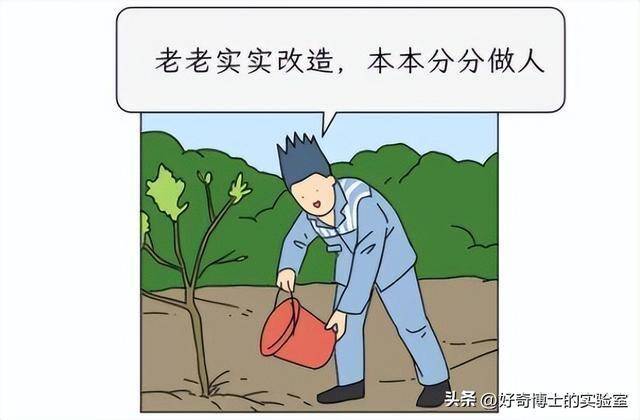 罪犯沙漠种树：看似美好实则困难重重