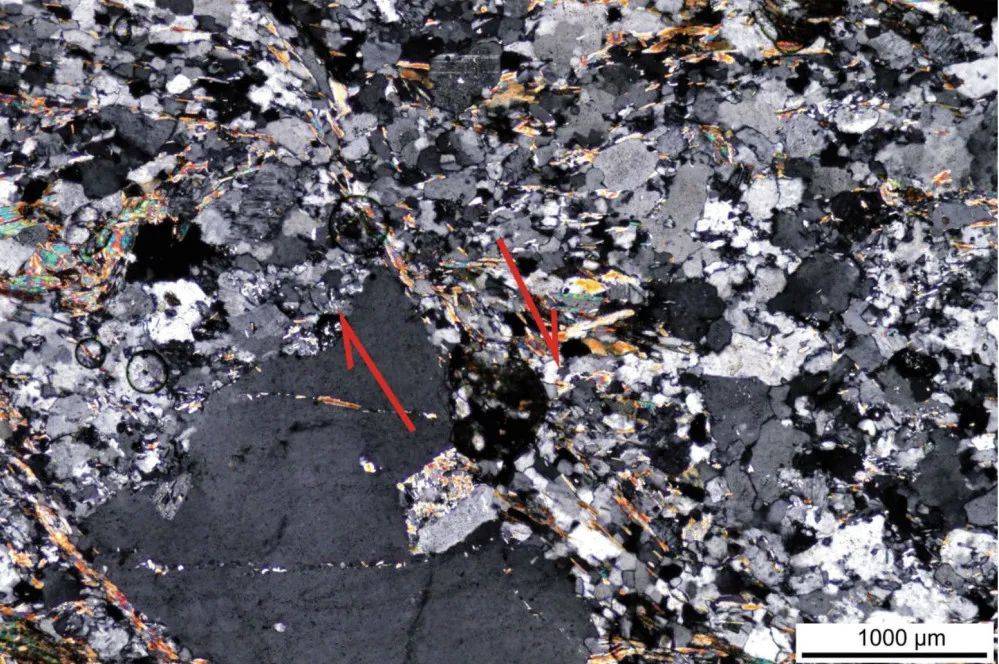 糜棱质片麻岩内云母颗粒的拖拽模式斜长石颗粒弯曲的双平面