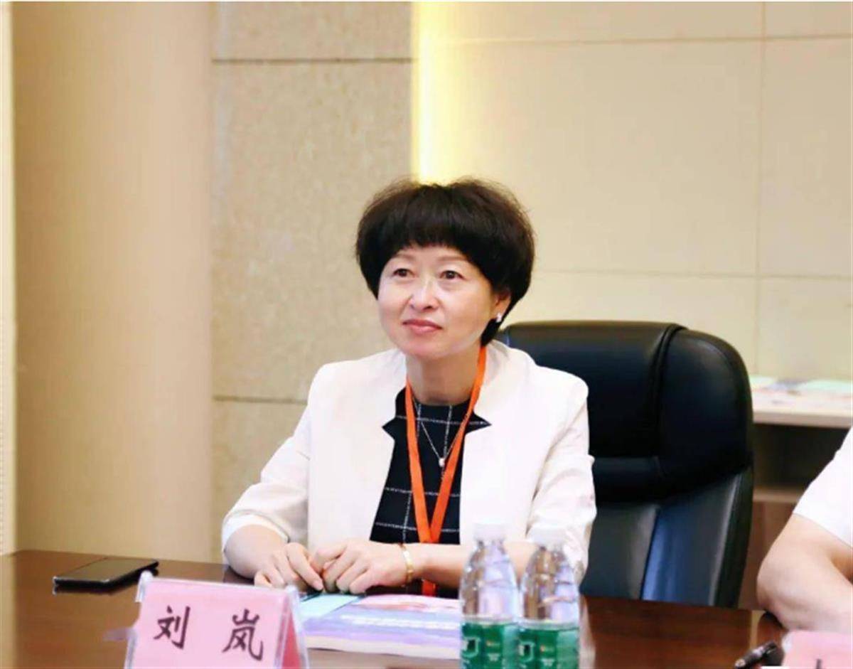 刘岚 来自搜狐网