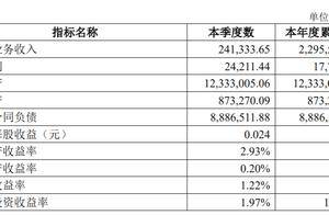 幸福人寿2024年扭亏为盈，最高年薪251万元、董事长空缺10个月