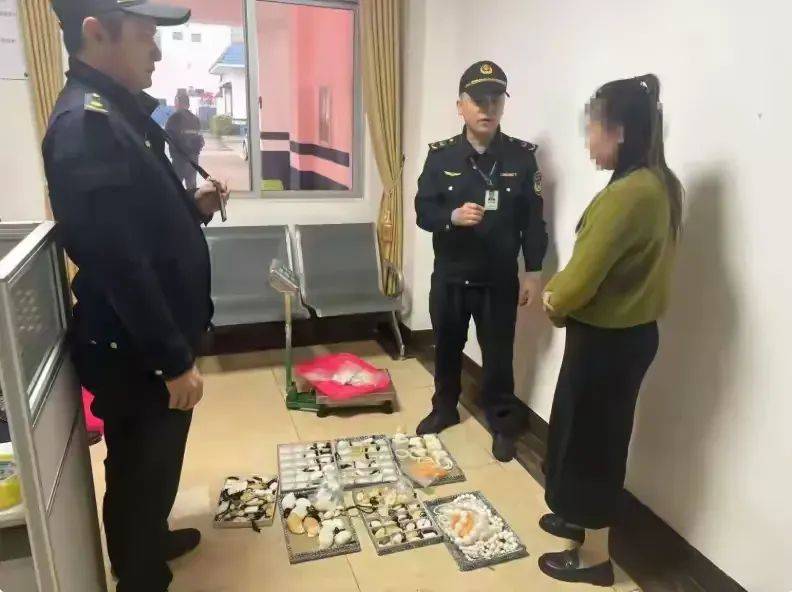查获疑似砗磲制品859件！琼海开展打击出售砗磲制品执法检查行动2025年6月6日
