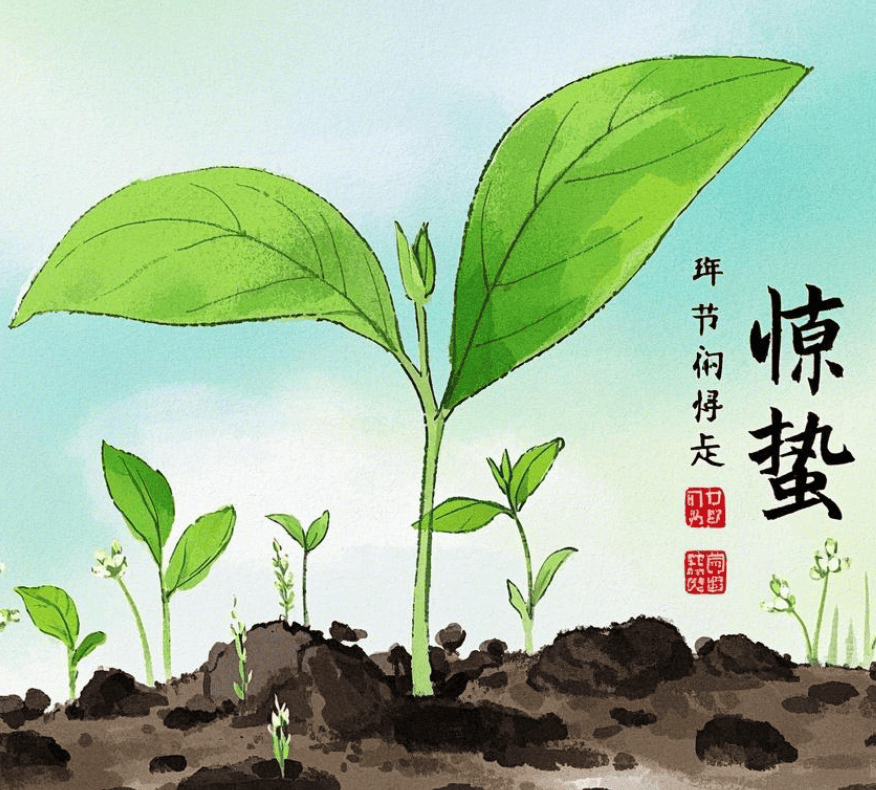 惊蛰:春雷唤醒万物,文化润泽心灵