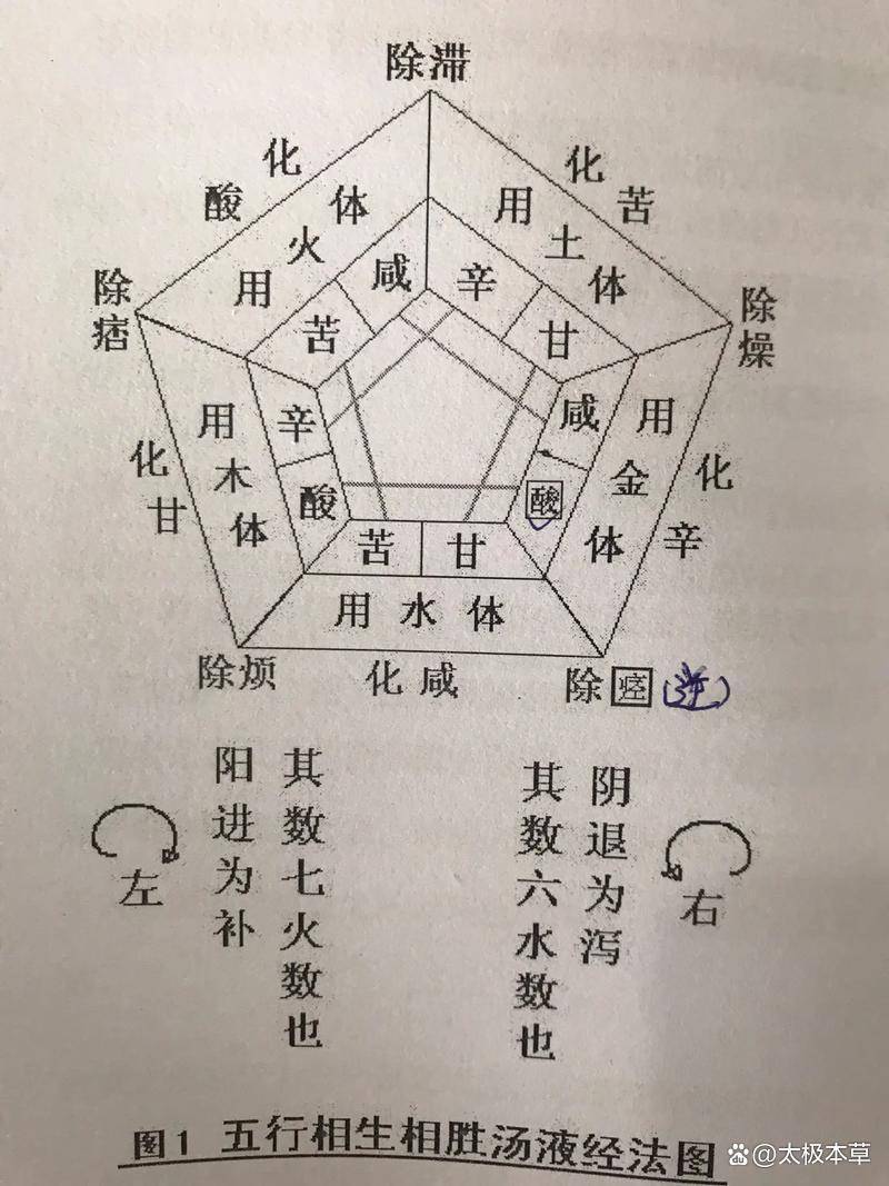 试论《辅行诀》医方所用中药药物之阴阳、中药五行属性_中水_调节_中火