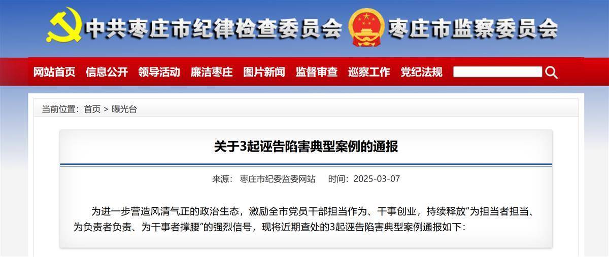 极目政情|报复“同事告发导致自己获刑”,落马卫生院院长因诬告再受罚_举报_陈某某_邓某