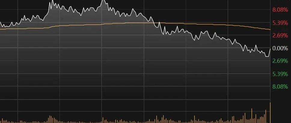 尾盘突发，多只人气股跳水！“地天板”又现