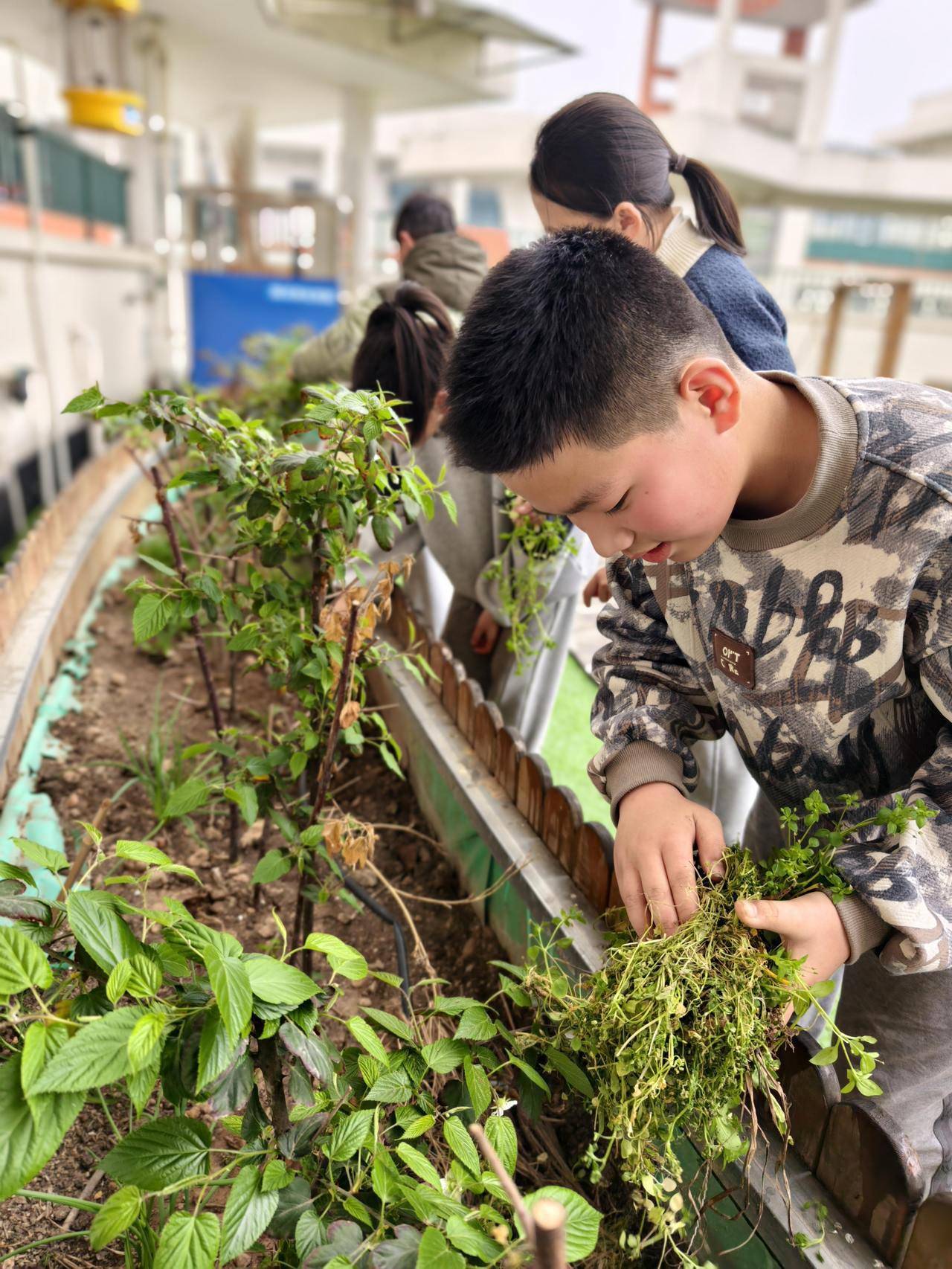 植树节 ▏除草堆肥赏花,孩子们沉浸式体验绿色