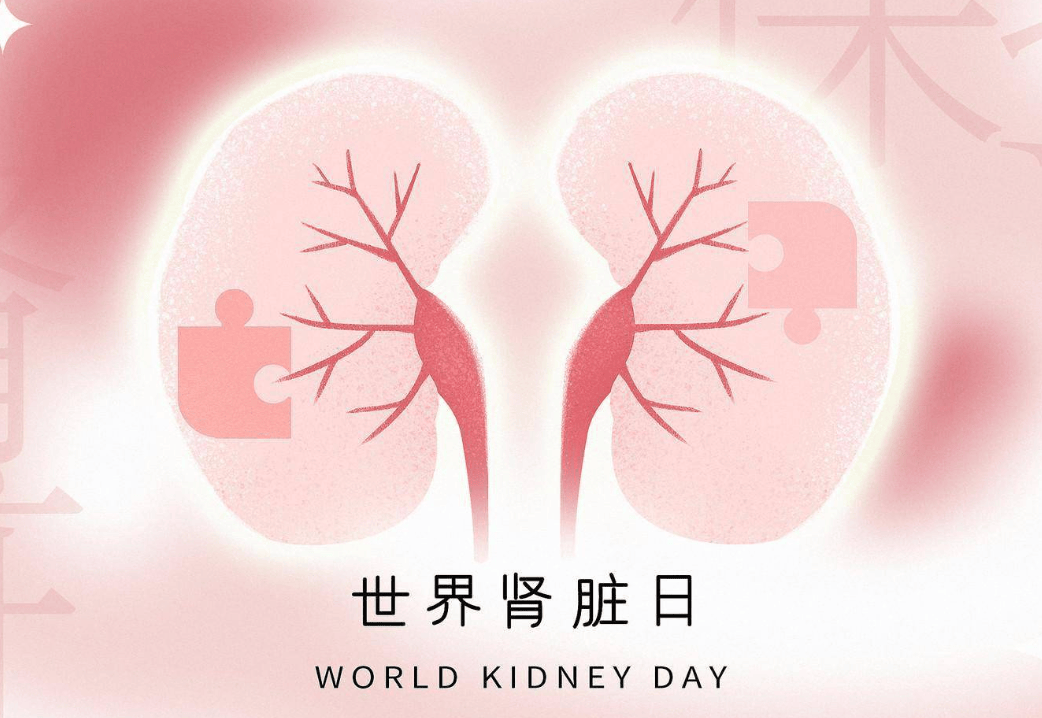 守护"肾"命·从心出发