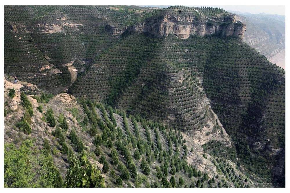 包含高三地理环境保护专项(环境污染/生态破坏)的词条 包含高三地理环境保护专项(环境污染/生态破坏)的词条