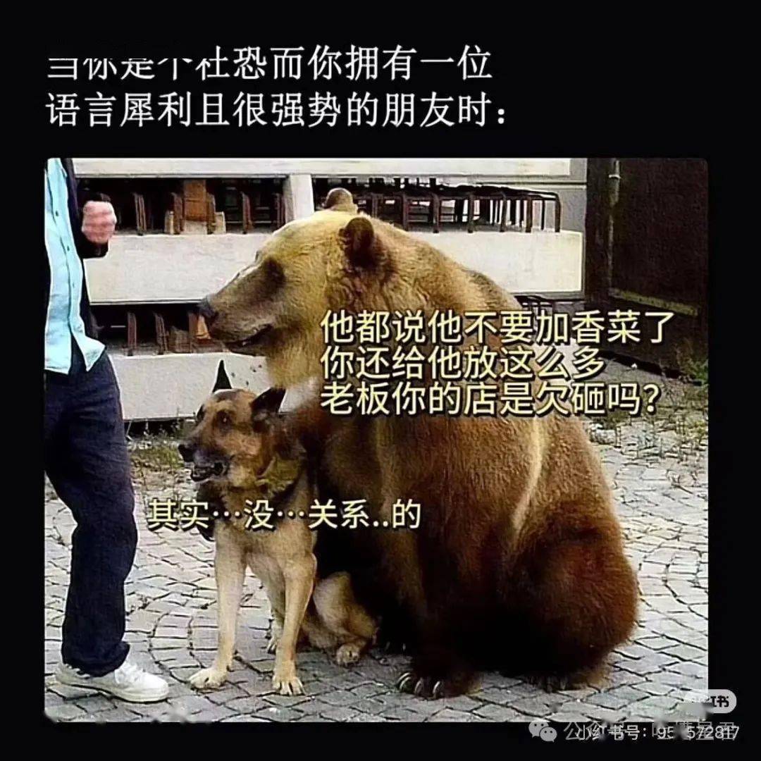生活趣事大集合，哪张图能戳中你笑点？，高干文看多竟有这种感受？这些趣事别错过