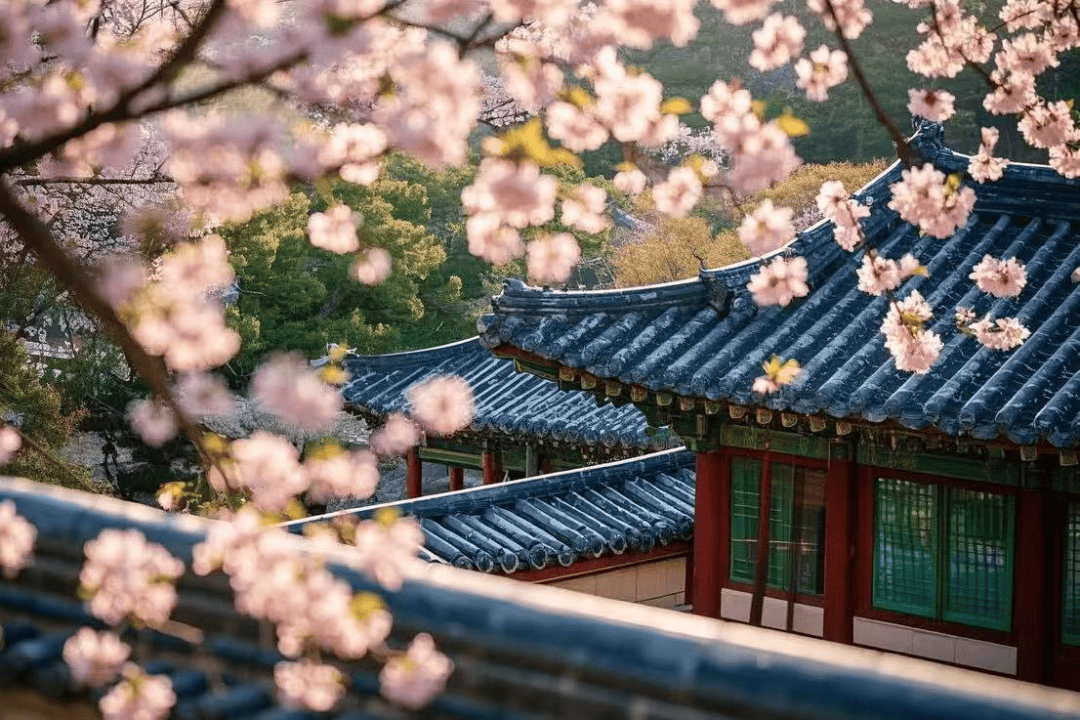 春天，我们一起玩转韩国首尔 -华闻时空