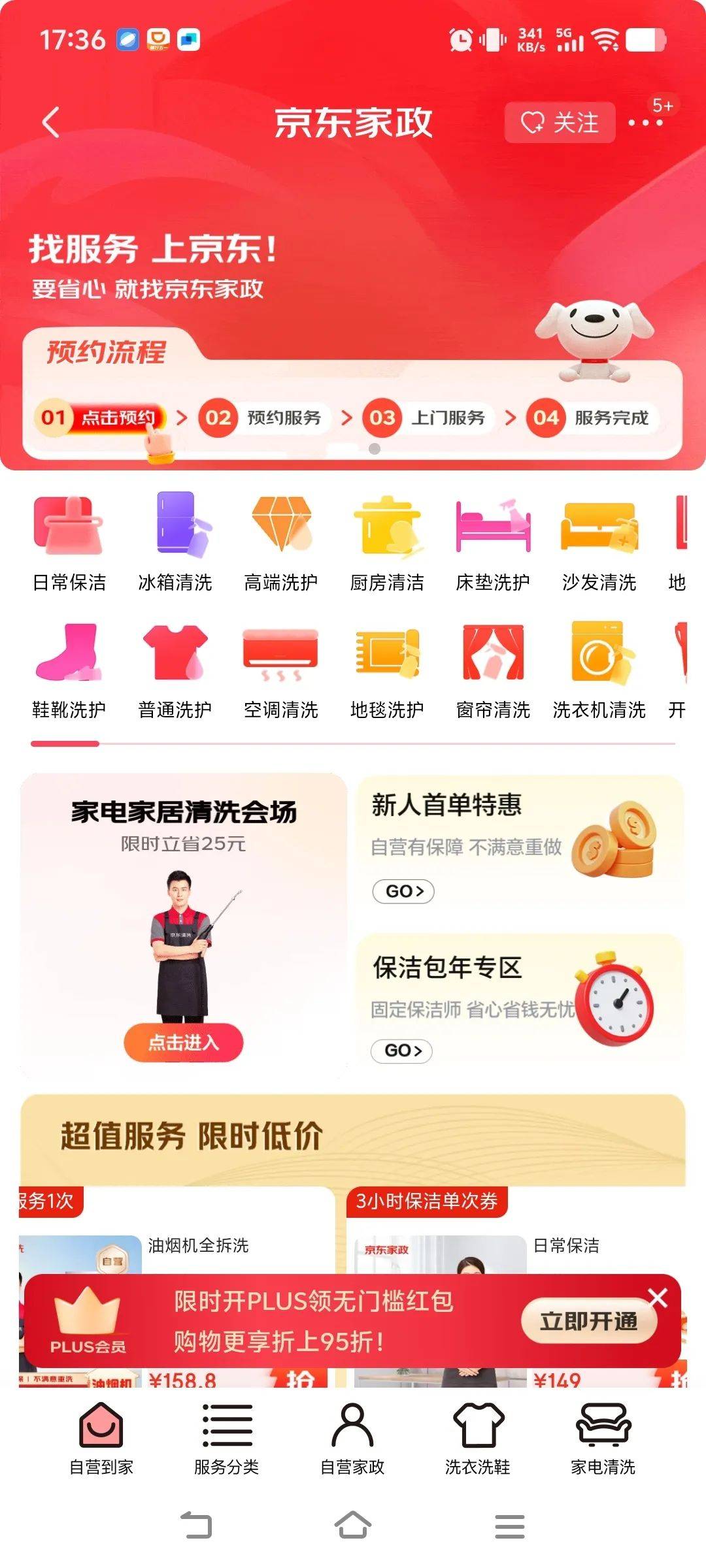 凤凰联盟入口家政服务的春天正在生根发芽(图2)