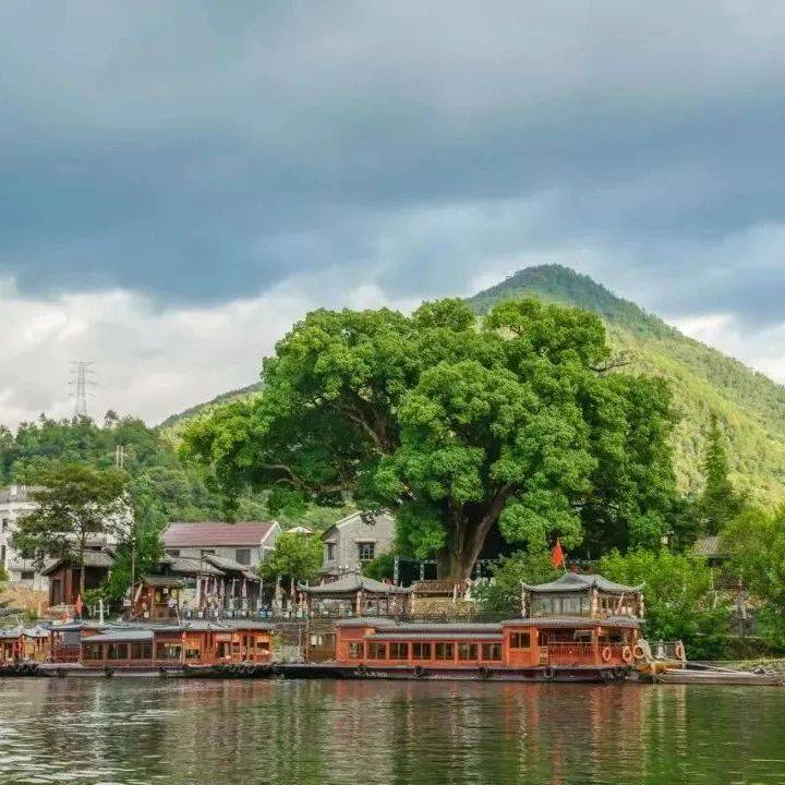 解锁长寿之乡浙江丽水的山居密码,一场隐世与人文的深度邂逅_生活_青瓷_青田