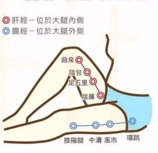 疏肝泻火经常敲击肝经、胆经可以助肝疏泄、清肝泻火，是不错的养肝秘笈
