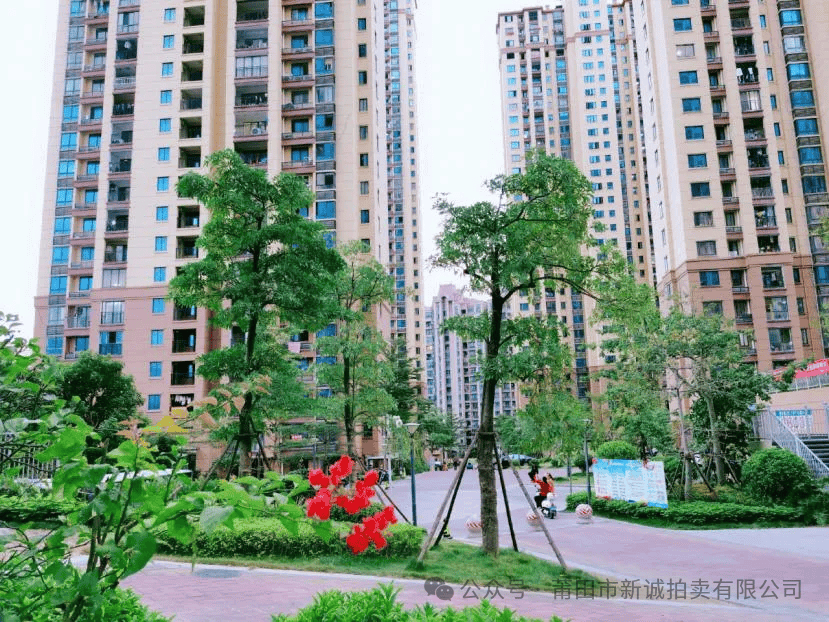 莆田城厢区239套房产公开拍卖，投资良机不容错过！ 莆田城厢区239套房地产拍卖，各小区优势大揭秘