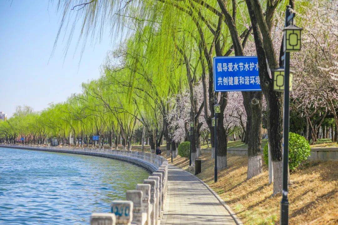 漫步昆玉河，赴一场与海淀春天的浪漫之约，漫步昆玉河畔，领略海淀桃红柳绿春日盛景