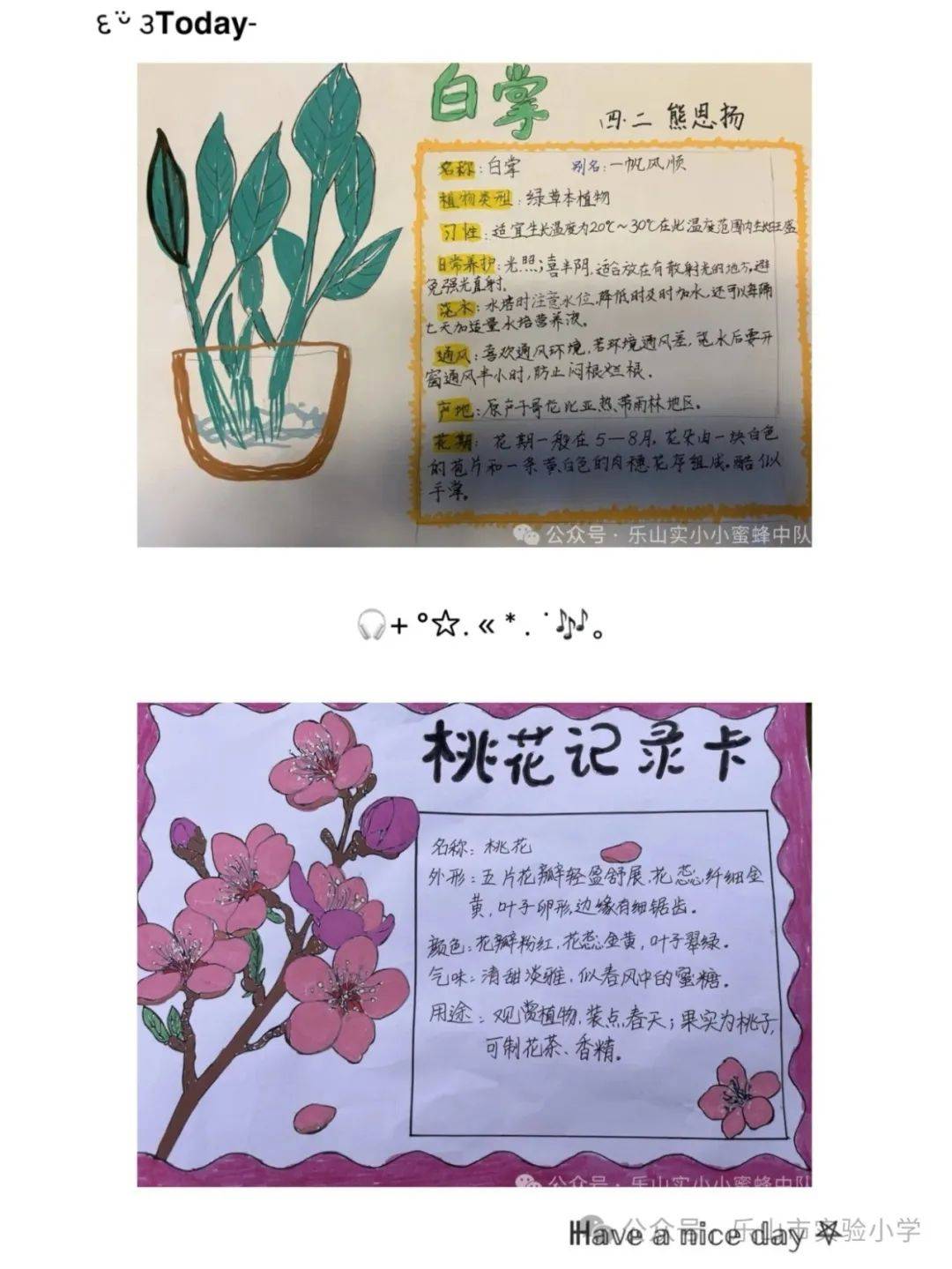 缤纷世界·花样少年