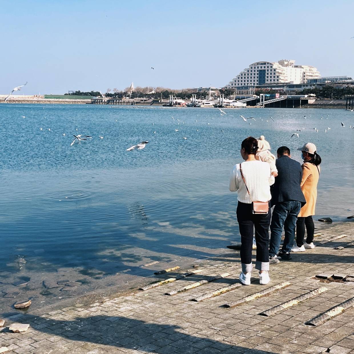 从威海回来后整理的超全威海必吃攻略!赶快收藏下来吧~_渔家_巧克力_牛尾汤