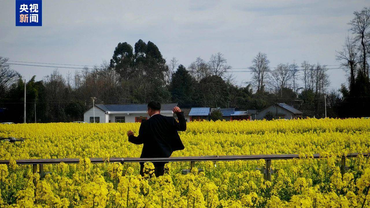 没舞蹈基础又怎样？乡镇干部油菜花田尬舞宣传家乡超圈粉！，油菜花田里的别样宣传：乡镇干部用舞蹈打开家乡知名度！