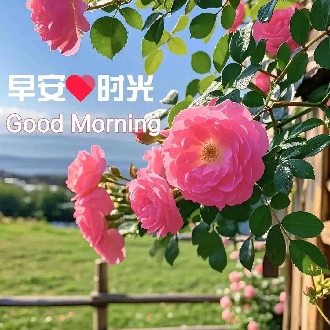 3月25日星期二新版早安祝福美图温馨祝福语,开启美好的一天,收获满满的幸福与喜悦!_天都_梦想_带着