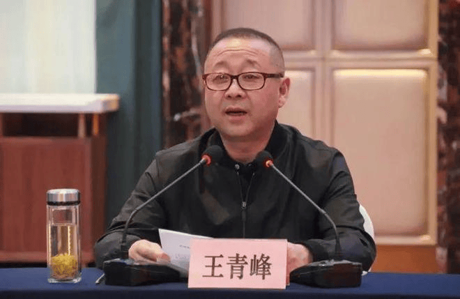 "全国优秀县委书记"王青峰任陕西省发改委主任