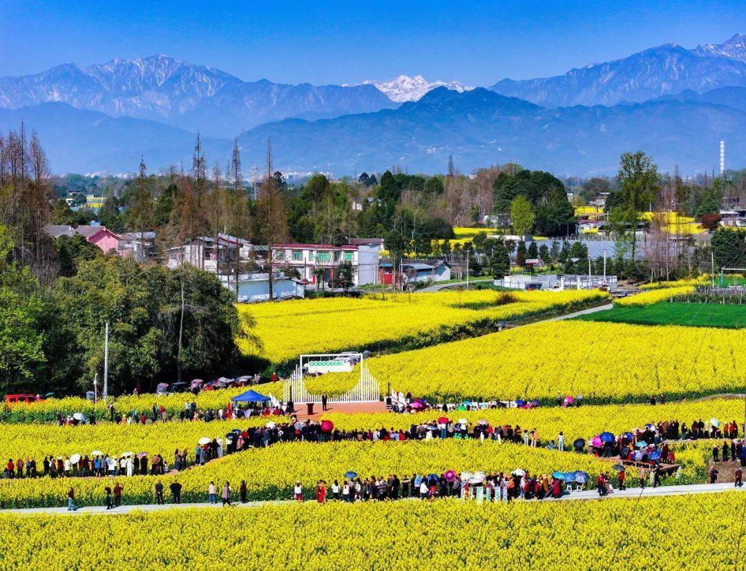 精华灌区粮果产业园,都江堰市农业农村局,都江堰市天马镇人民政府指导