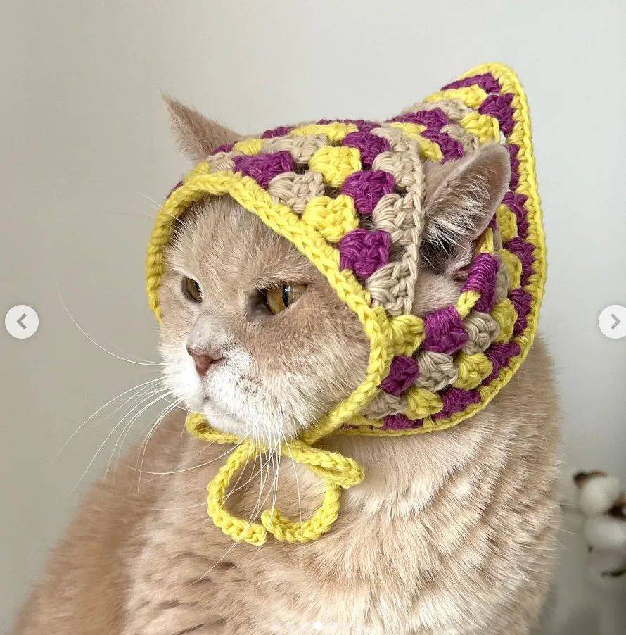 超简单祖母格猫咪头巾 可爱可爱看到就想钩起来 管她爱不爱