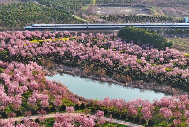春暖花开，多地文旅市场奏响春日消费新乐章