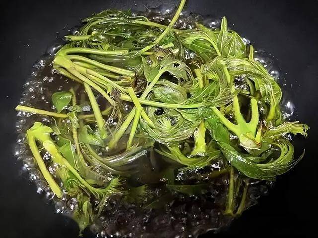 别让健康毁在小事上：4种菜焯水的重要性，揭秘！这4种菜不焯水，健康隐患大揭秘