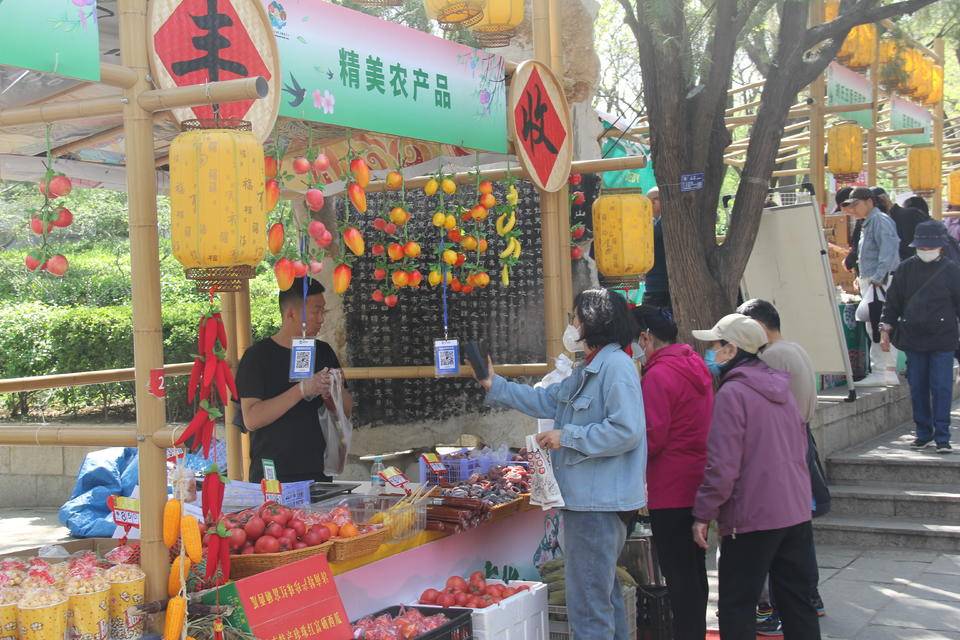 相约千佛山三月三，邂逅一场可赏可恋的春景