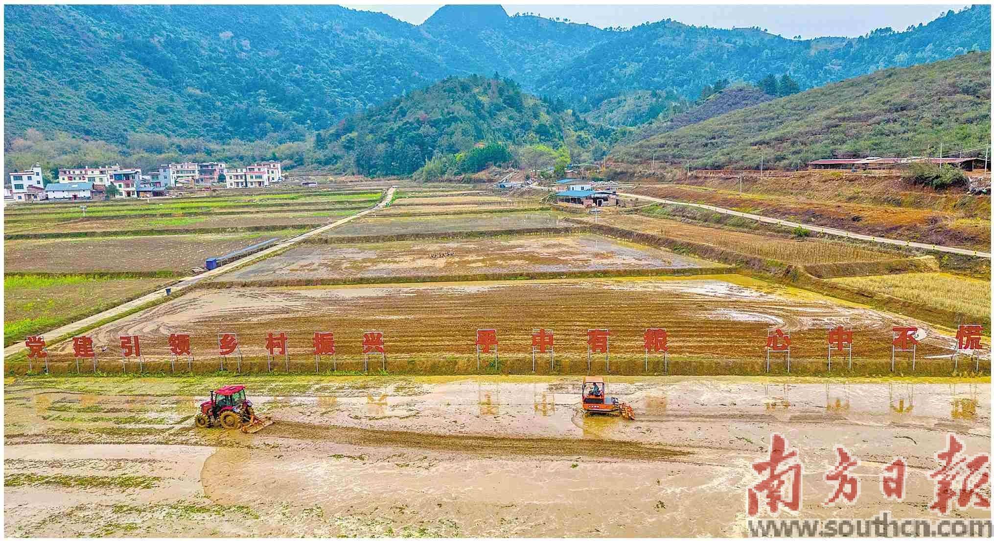 用科技之犁深耕瑶乡沃土_连南_种植_寨岗镇