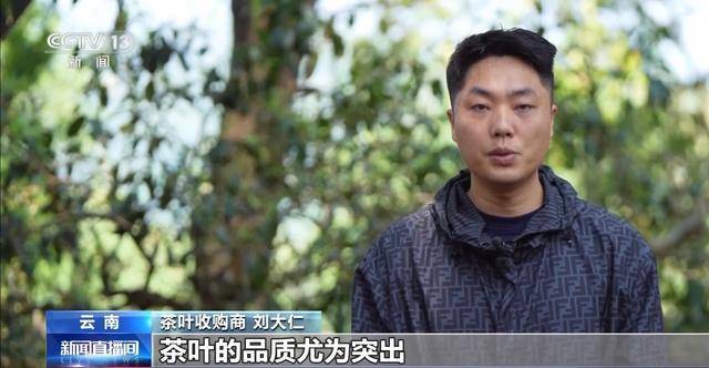 “左手咖啡右手茶” 两张产业名雷火竞技入口片助力云南经济腾飞(图9)