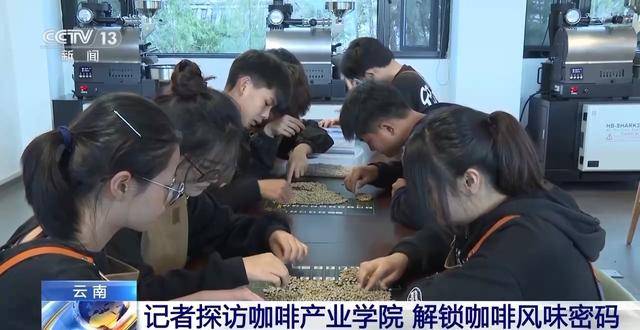 “左手咖啡右手茶” 两张产业名雷火竞技入口片助力云南经济腾飞(图6)