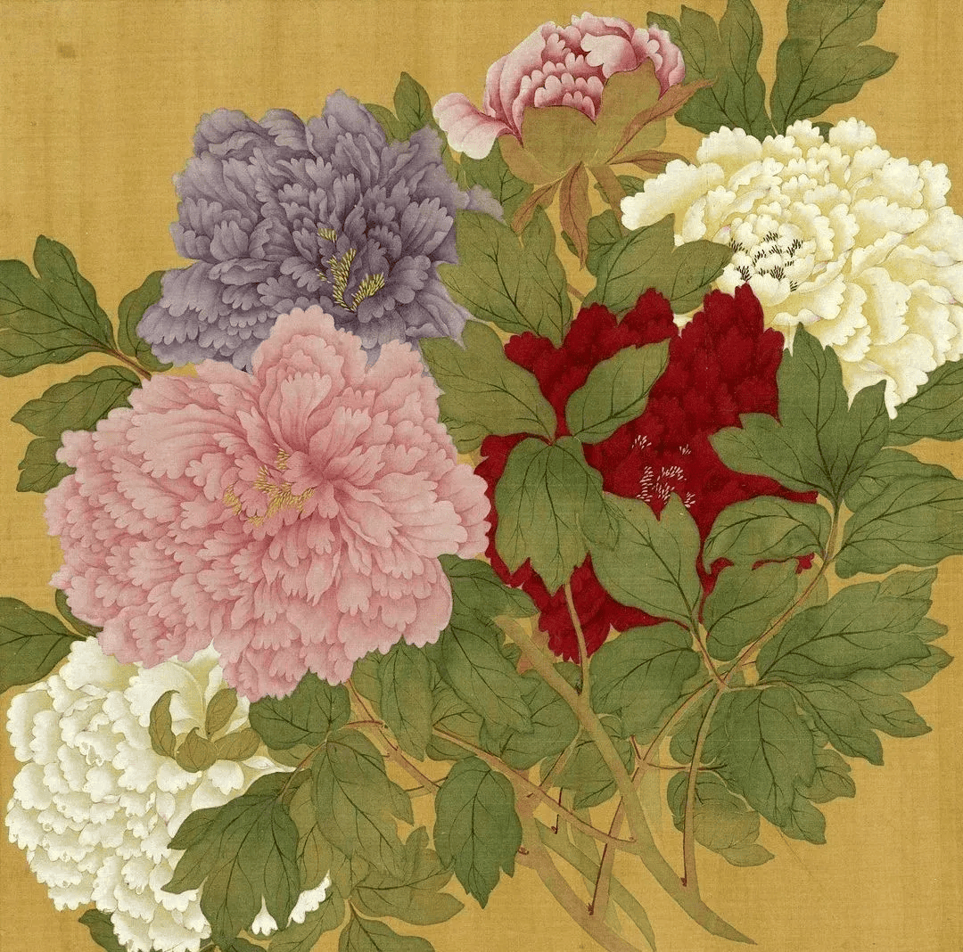 美艳的没骨牡丹怎么画?