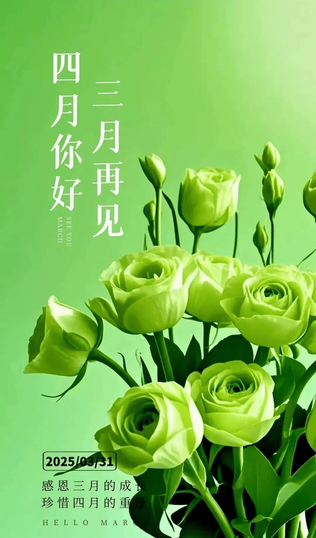 4月1日人间最美四月天新版漂亮祝福图片温馨祝福语:四月来信,美好如期