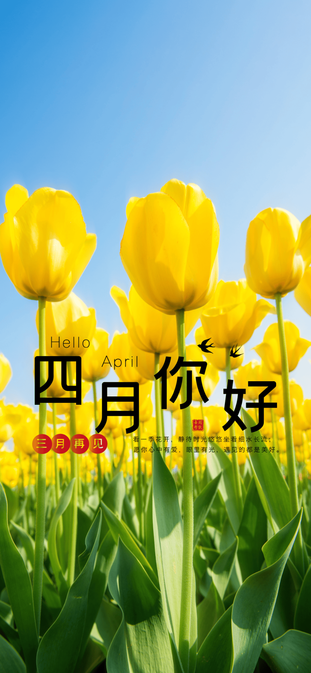 精选四月第一天朋友圈早安语录句子配图祝福语四月愿人生所向皆是美好