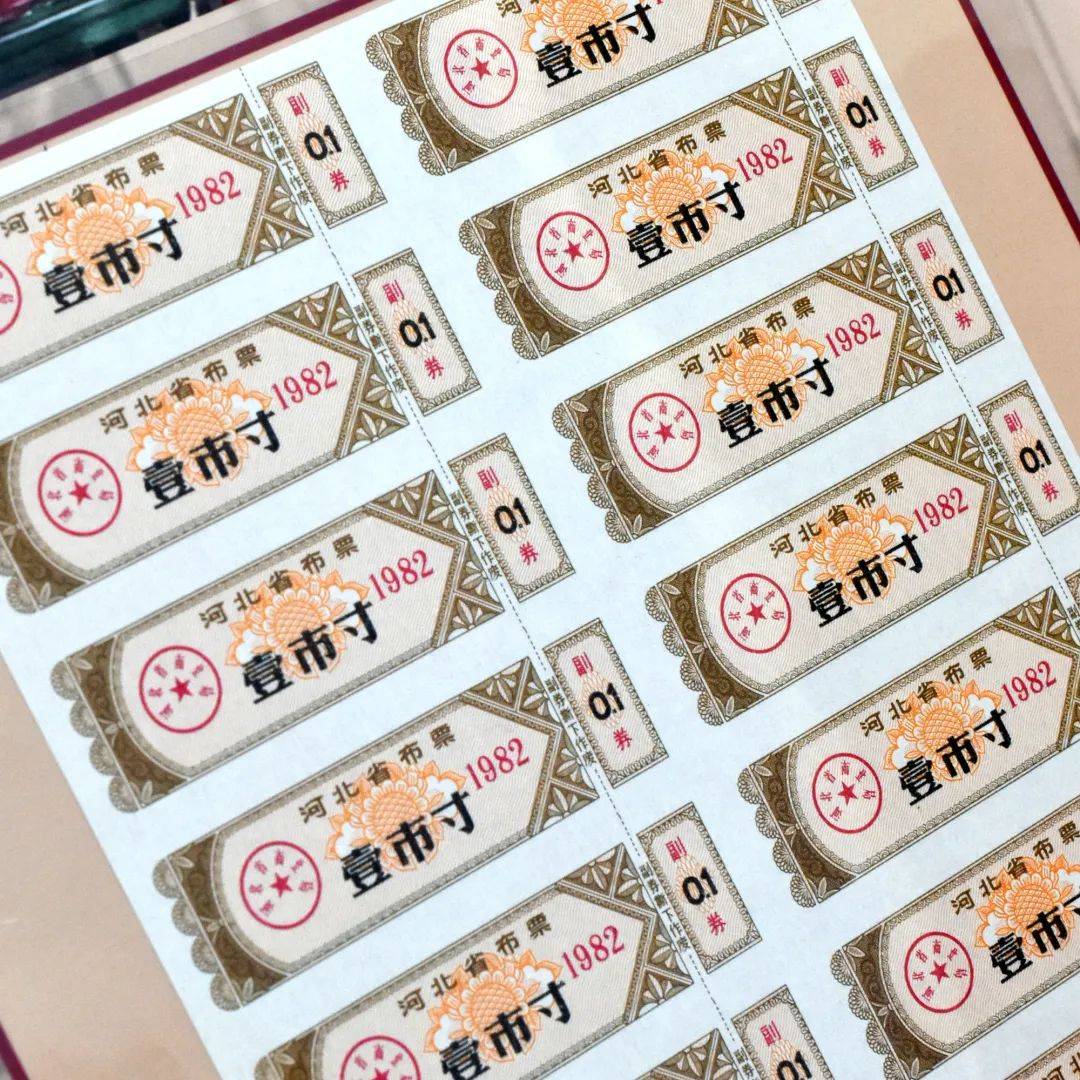 粮票_生活_布票