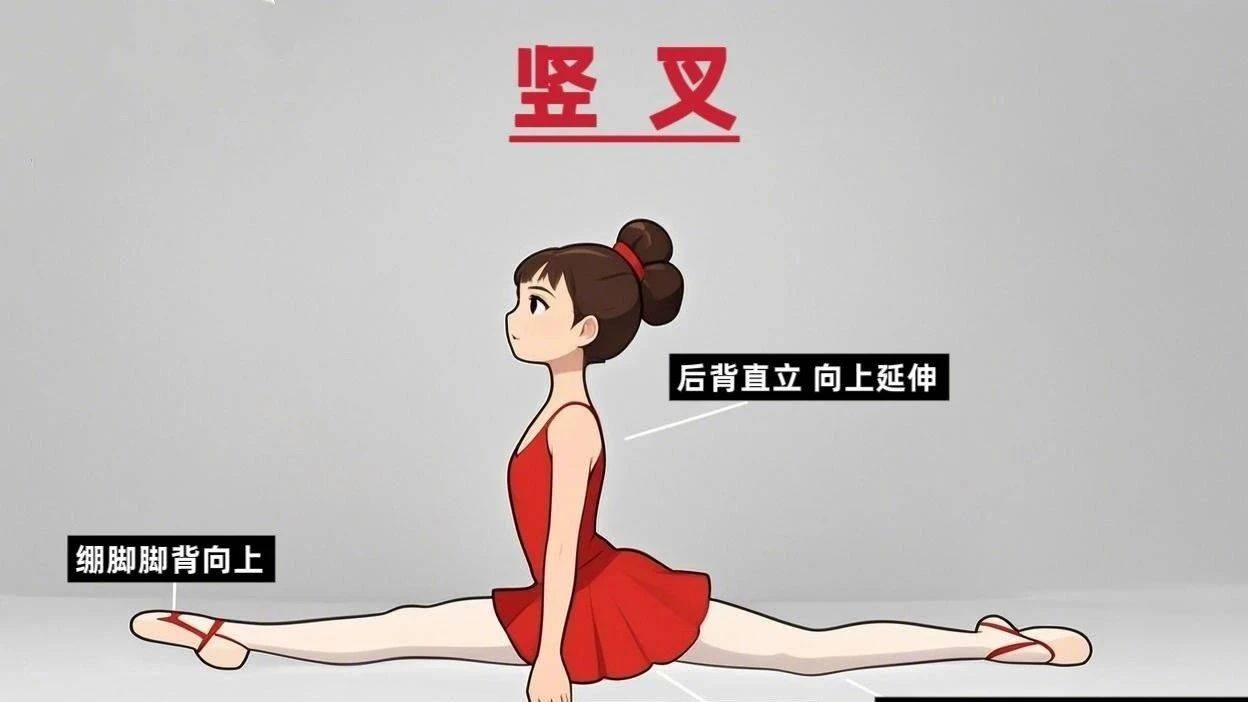 基本功图解:竖叉