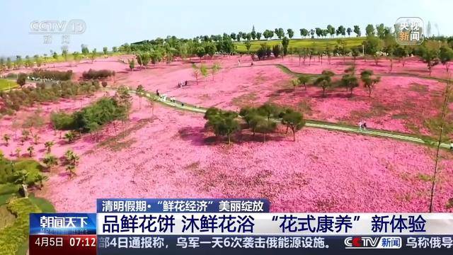星空体育平台品牡丹宴喝油菜花咖啡 这个春天花田“开出”新产业(图5)