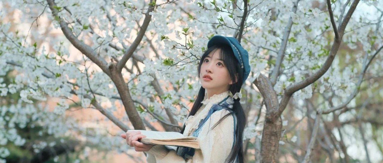 我想和你，交换南开的春天 ꕥꕥ_花瓣_春风_枝桠