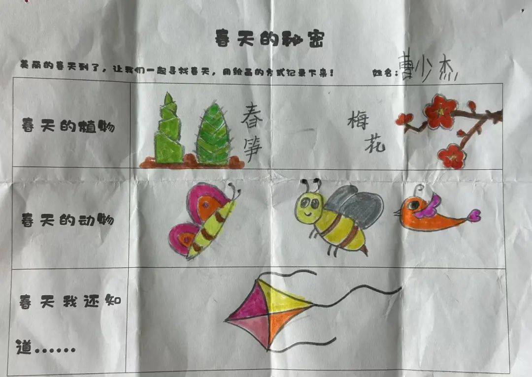 【园本活动】春天的秘密