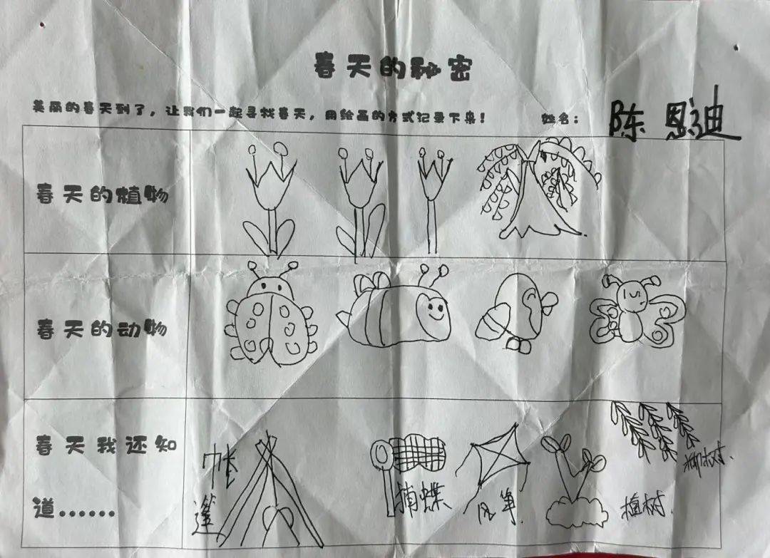 【园本活动】春天的秘密