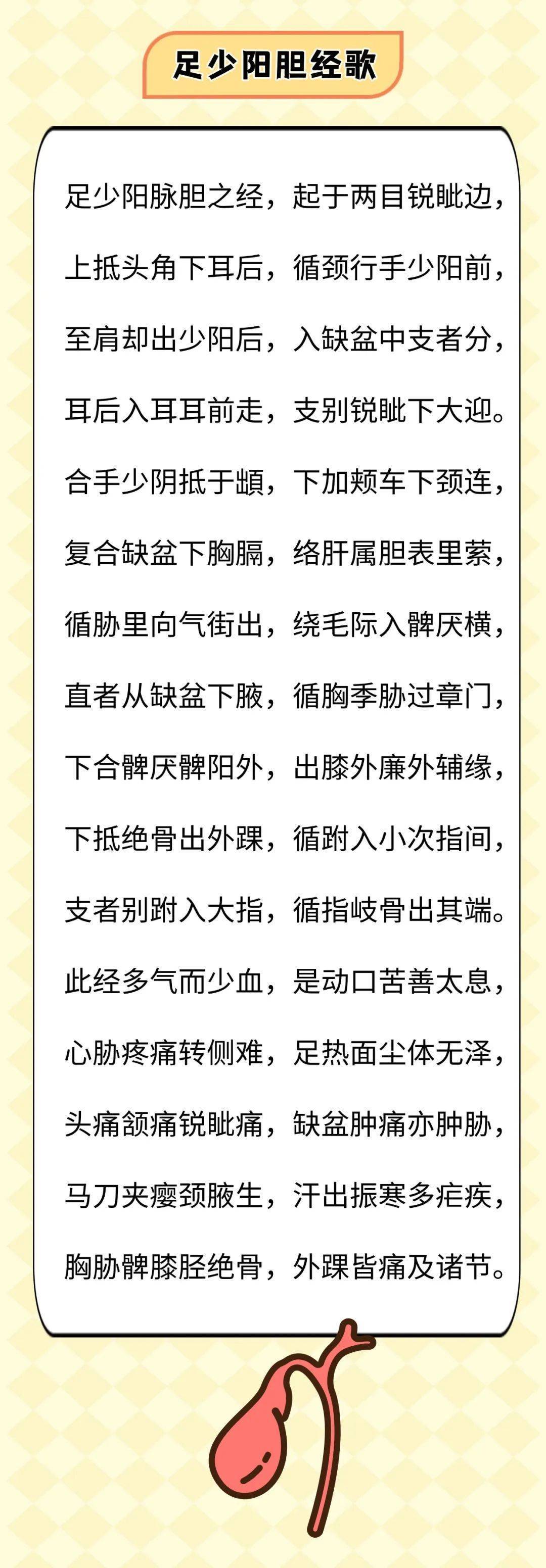 中医必背!汤头歌诀之十二经脉歌