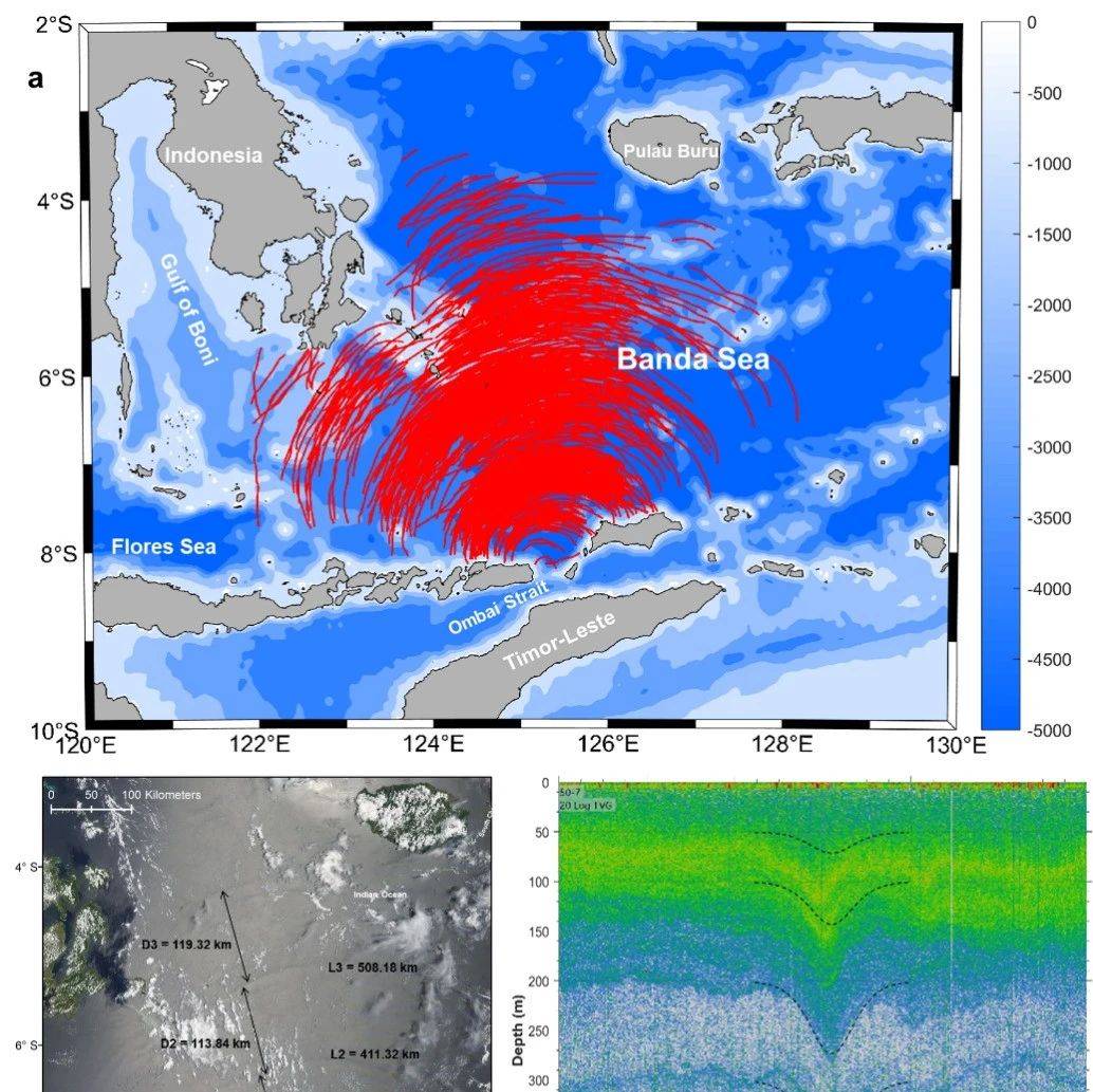中国科学院海洋所李晓峰研究团队利用遥感观测耦合物理-AI算法实现班达海内孤立波预报!_波峰_模型